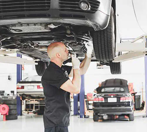 hn we have you covered 01.jpg